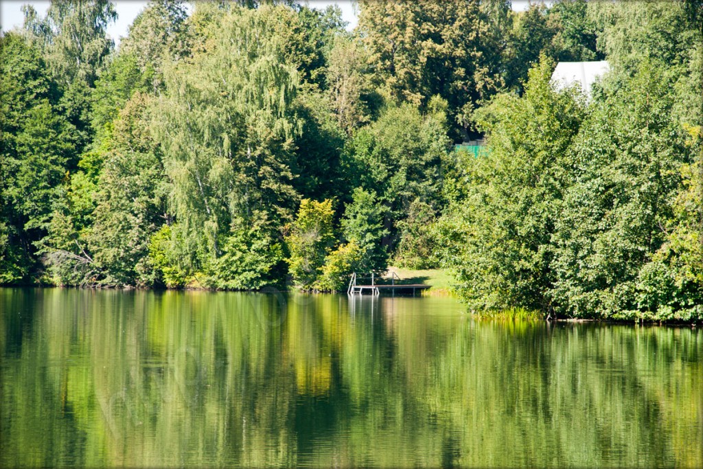 Визовский пруд фото